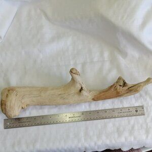 No1 Hand-collected driftwood, cleaned for terrariums or aquariums or craft